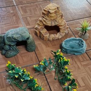 Reptile a accessories.